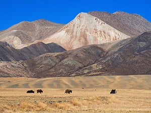 Tibet_plateau